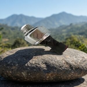Pera De Aceite Corsa Evolution, Optra