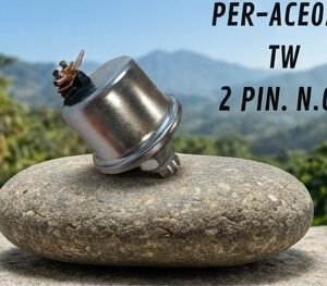 Pera De Aceite Universal 2 Pines 15 Psi N.C