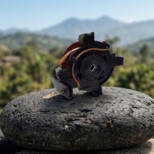 Porta Escobilla Arranque Twingo,Logan Meganne Valeo